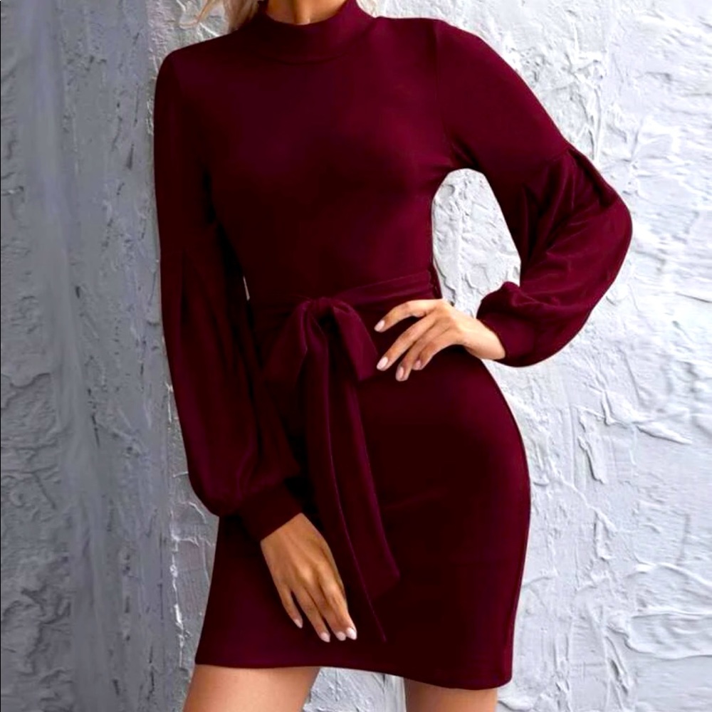 Worn only ONCE, amazing condition burgundy dress